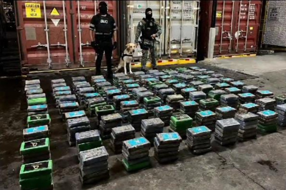 Decomisan 500 paquetes de presunta droga en puerto del Atlántico 