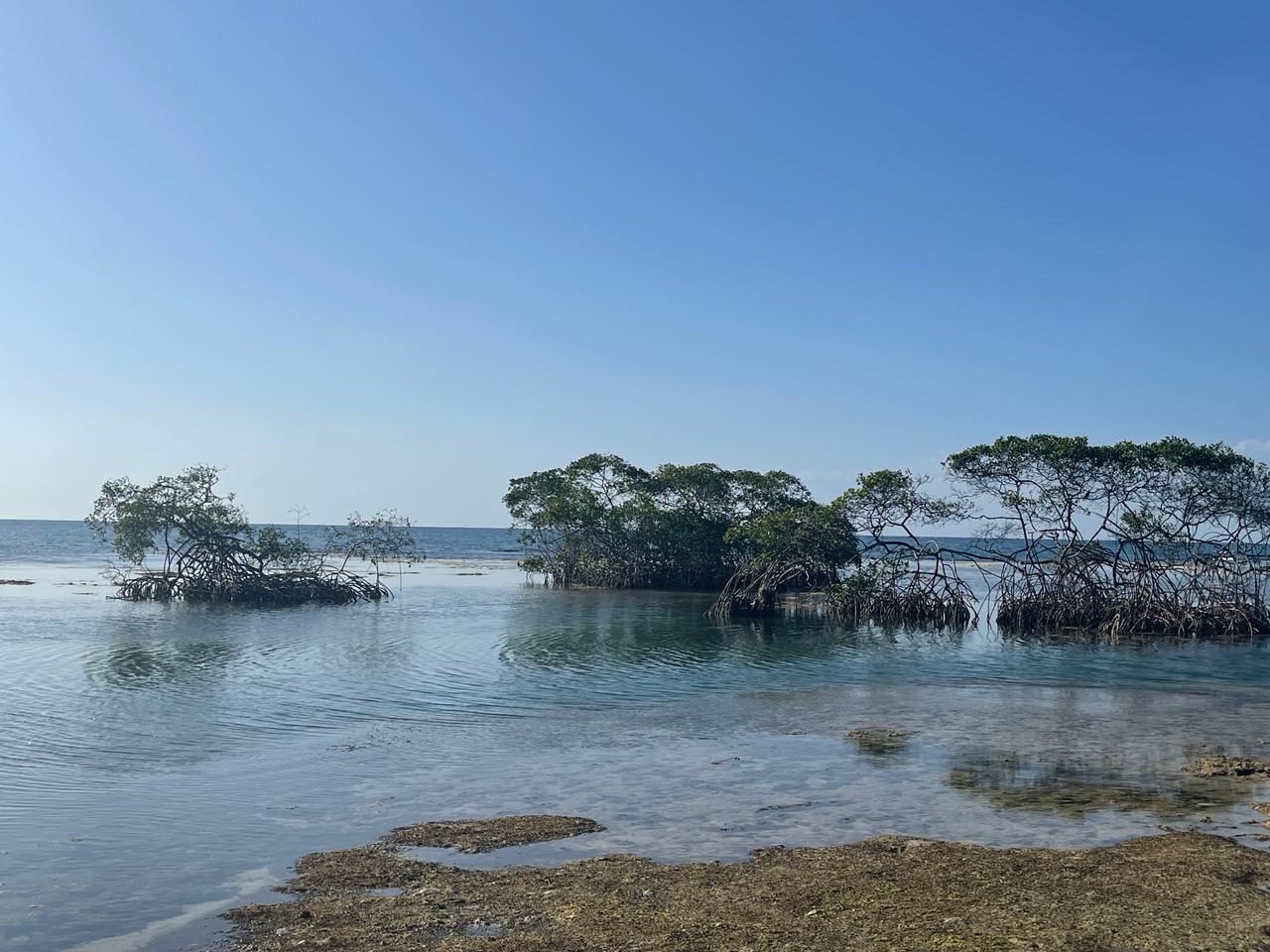 Presentan a MiAmbiente iniciativa de crear área protegida en el distrito de Santa Isabel 