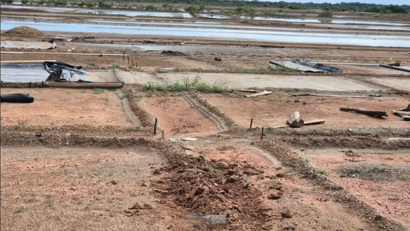 Producción de sal en Los Santos está retrasada por lluvias  