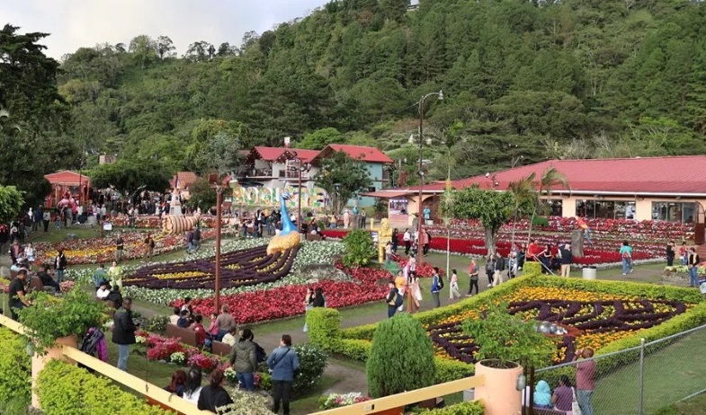 Miles de flores y el café más caro del mundo engalanan poblado en las montañas de Panamá 