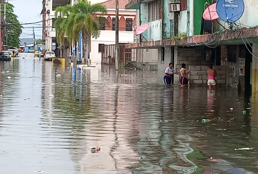 Foto: Cortesía