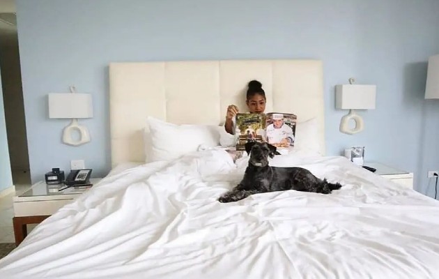 hotel_petfriendly