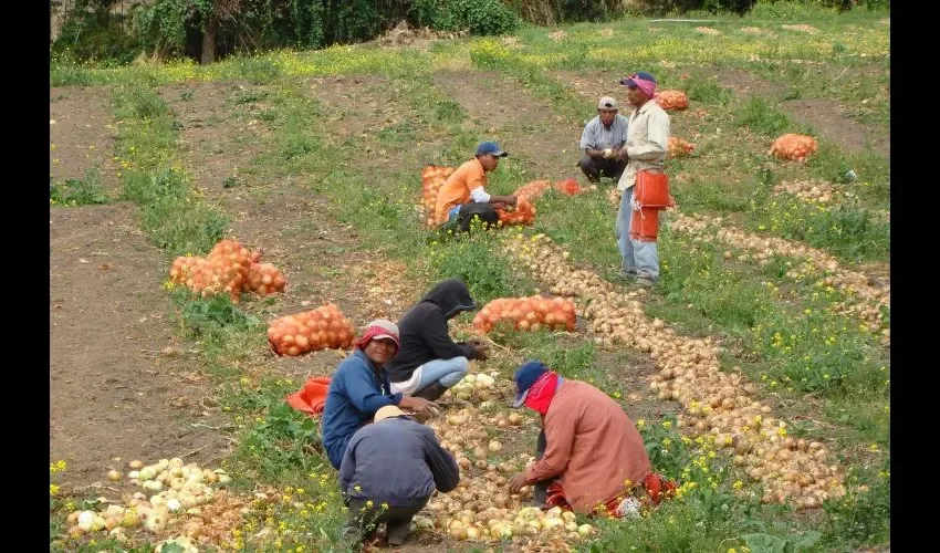 La producción y alimentación también son temas importantes.