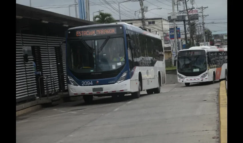 Estos autobuses tienen una mayor capacidad y adecuaciones para transportar a los usuarios. Foto: Archivo