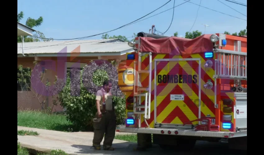 Abejas en Herrera. 