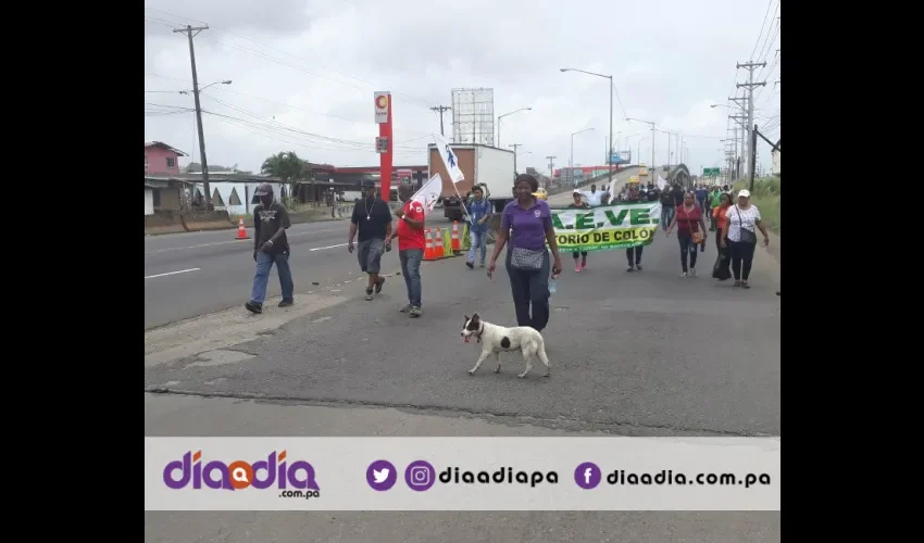 Este perrito caminó toda la marcha desde Sabanitas hasta los 4 Altos. Foto: Jesús Simmons