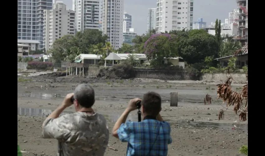 Este sábado 5 de mayo será el Gran Día Mundial de Observación de Aves, o Global Big Day. Foto: día a día