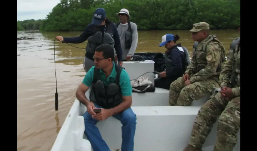 Se mantienen los monitoreos acuáticos y por tierra. 