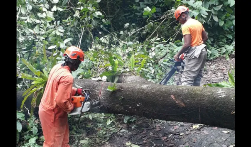 Hay un aviso de prevención de 72 horas por lluvias, dijo el Sinaproc.  