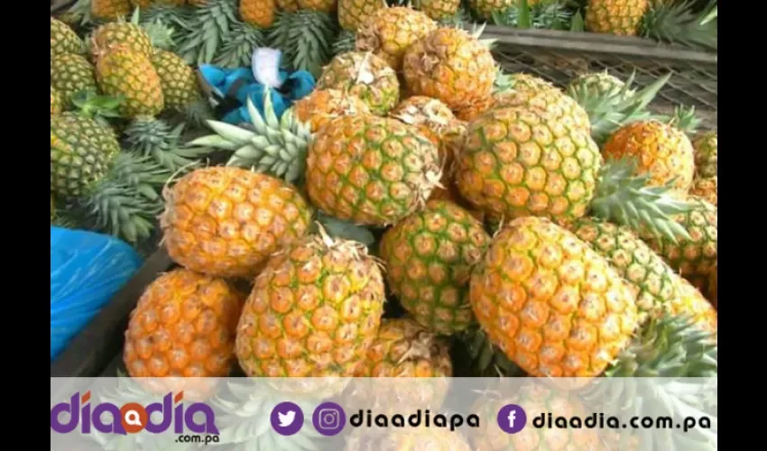 La piña tiene mucha demanda en el exterior. Foto: Epasa