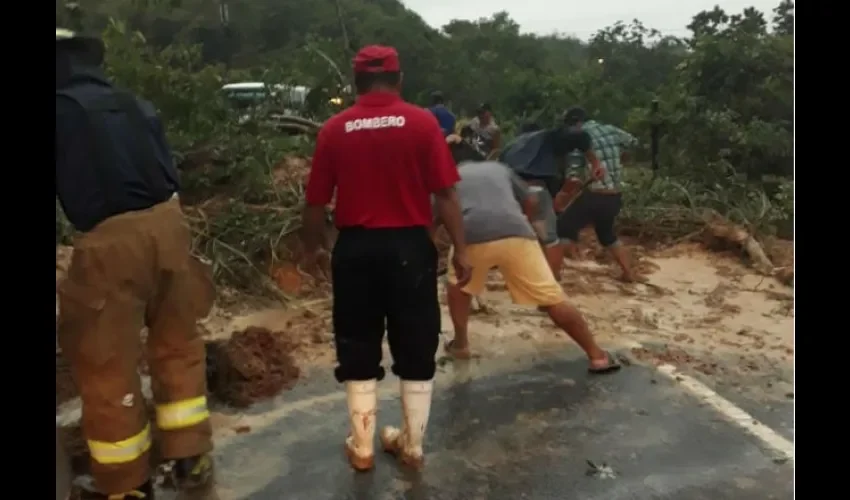 También se retiraron árboles caídos en la carretera.