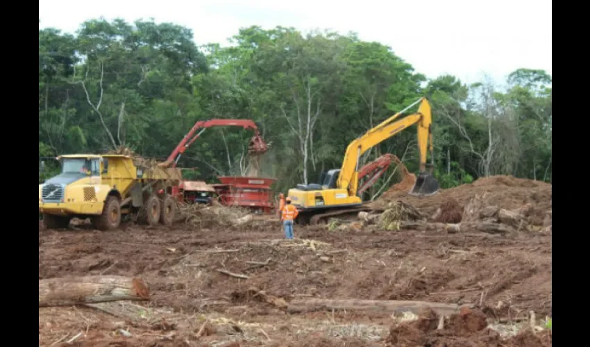 Trabajos en el área. Foto: Cortesía