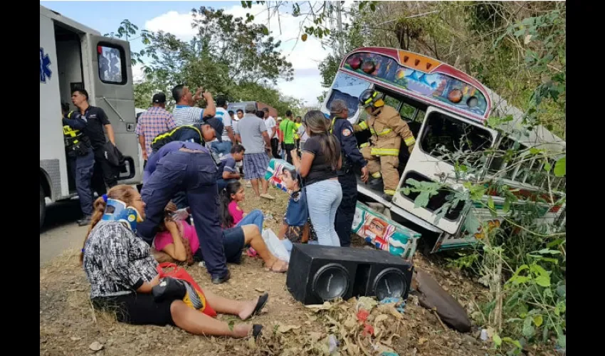 El bus fue a dar a un matorral. Foto: Cortesía