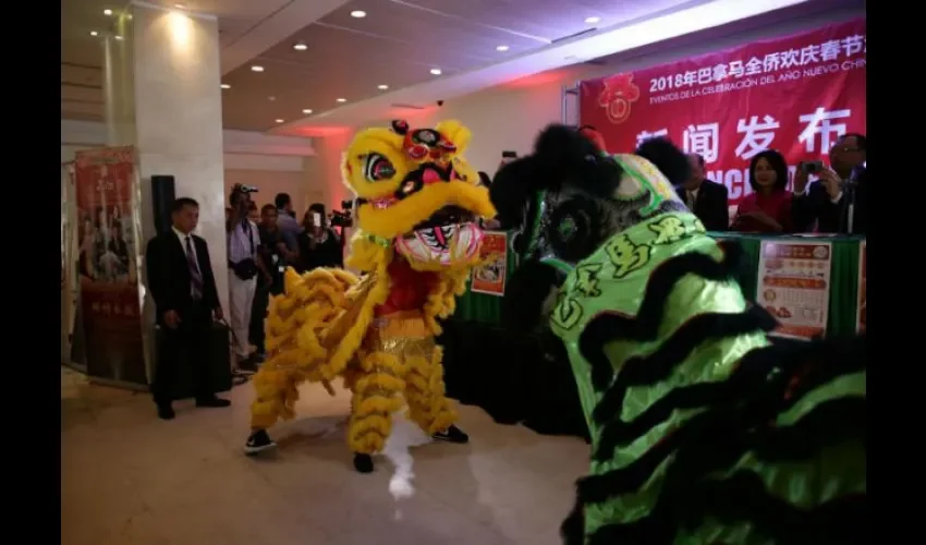 Comunidad china celebra el año del Cerdo de Tierra, una animal que les traerá mucha felicidad y tranquilidad. Fotos: Roberto Barrios