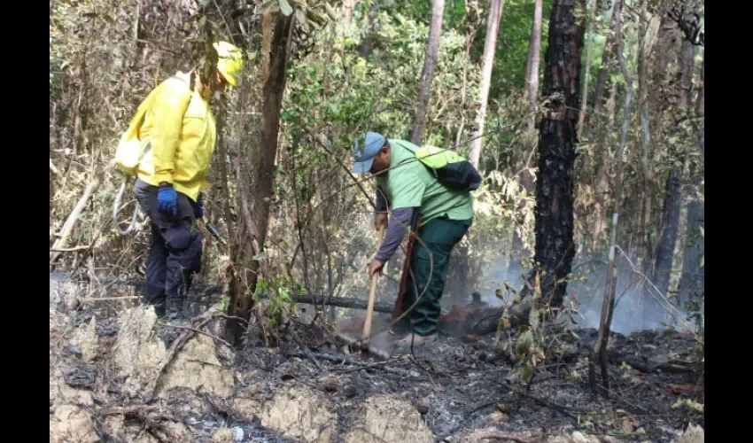 Intentan extinguir el fuego. Foto: Víctor E. Rodríguez 