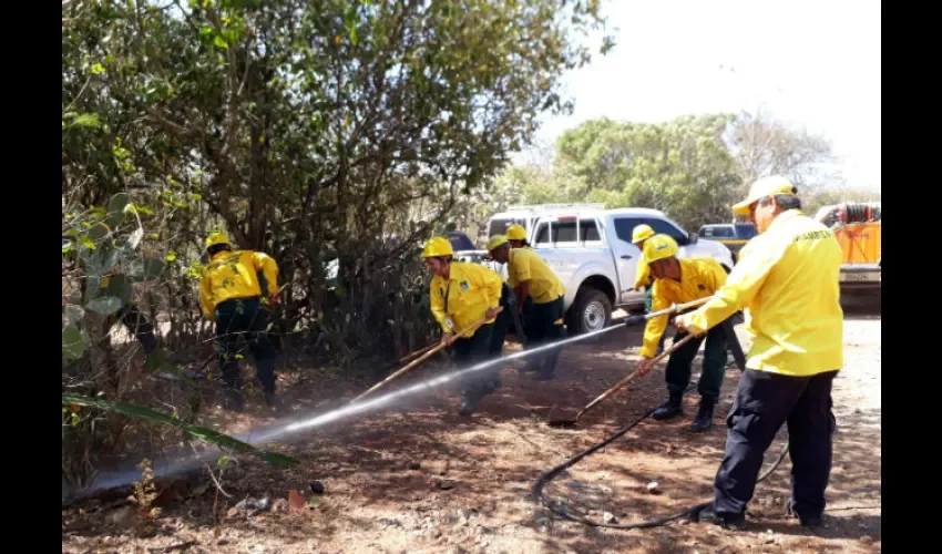 Buscan contrarrestar los incendios. 