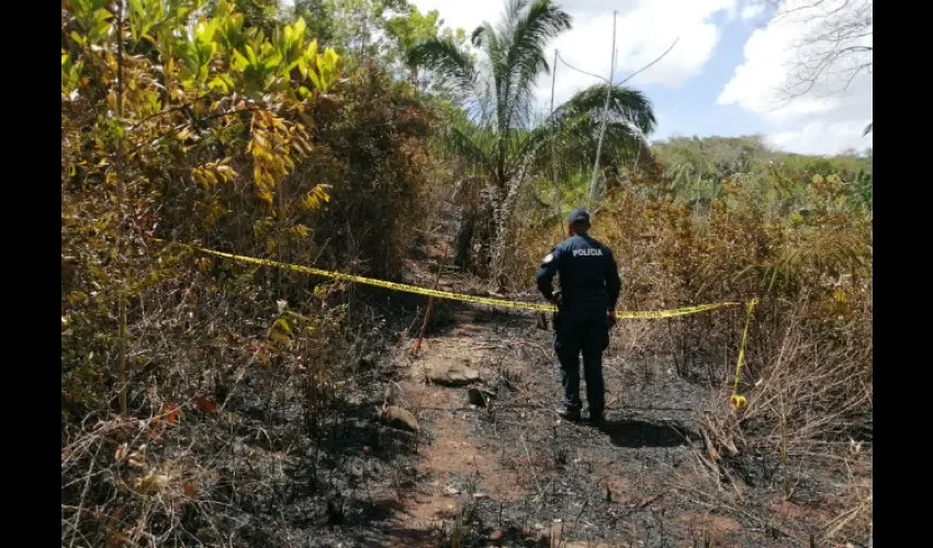 Foto ilustrativa del área del accidente. 