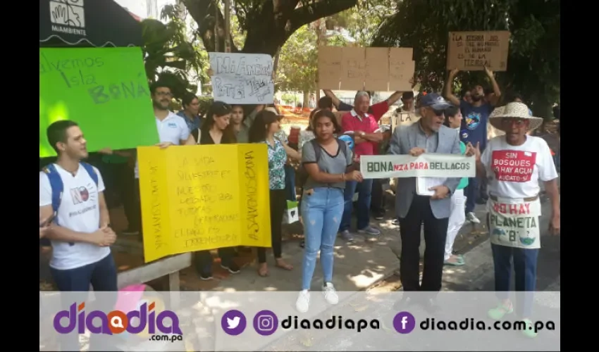 Prohijan proyecto de ley 167, que declara isla Boná refugio de vida silvestre. Foto: Jesús Simmons