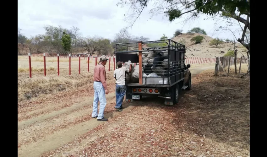 Foto ilustrativa de las fincas agrícolas. 