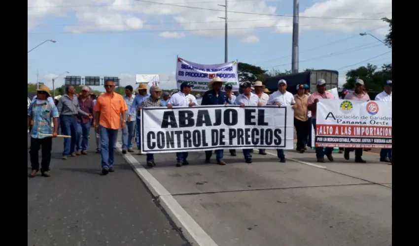 Foto ilustrativa de algunas de las protestas. 