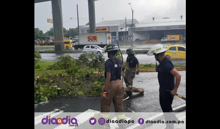 Los bomberos cortaron y removieron las ramas de los árboles que se cayeron a la vía. Foto: Jesús Simmons