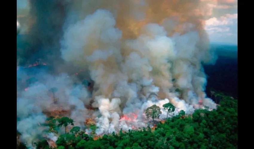 Foto ilustrativa del área afectada. Cortesía: Portal pagina12