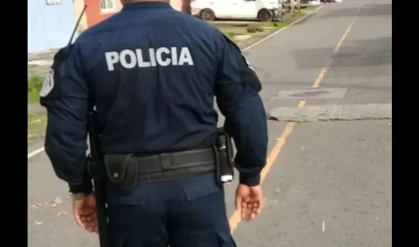 De acuerdo con Mirones, la Policía no puede estar cuidando puertas de ministerios, para eso existen empresas de seguridad que se dedican a eso. Foto: DD