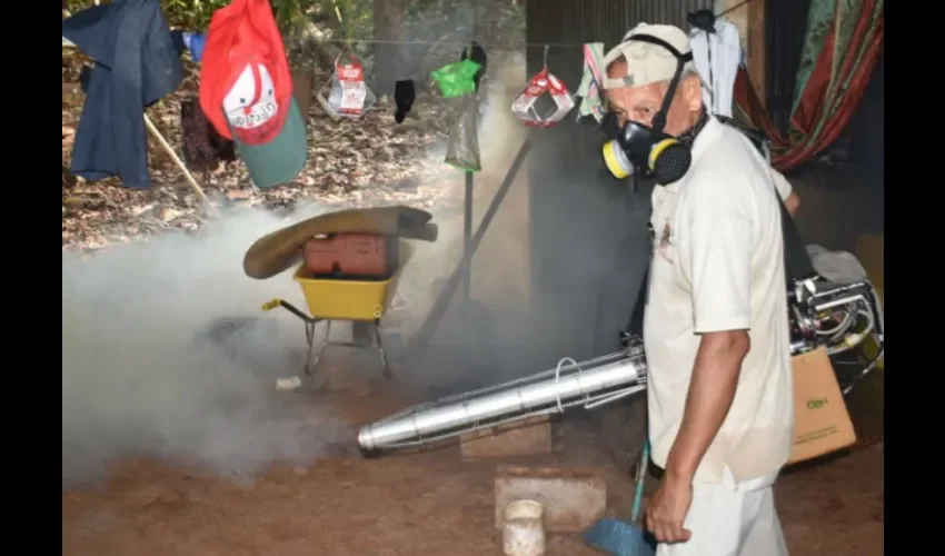 Foto ilustrativa de la inspección y fumigación. 