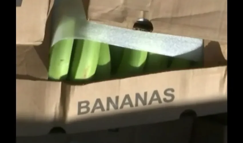 Bananas. 