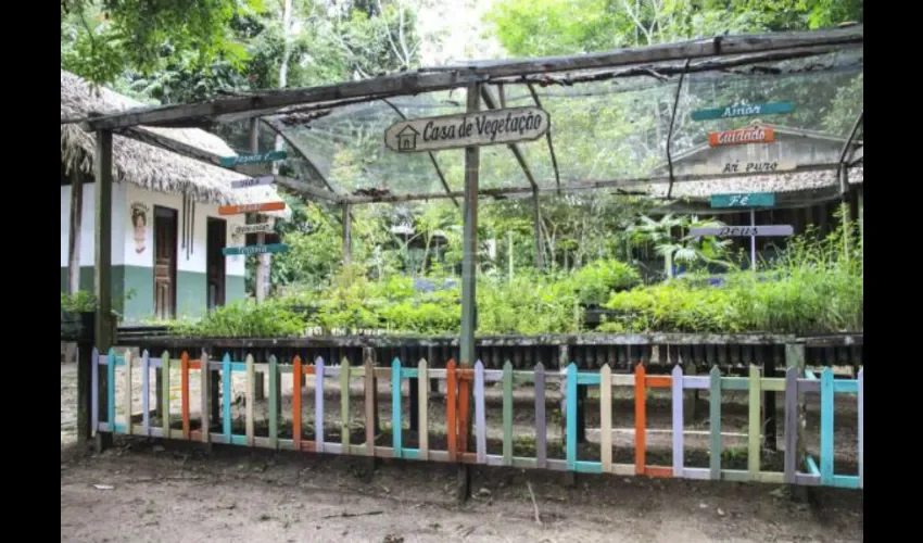 Imagen de la escuela en medio de la selva. Cortesía de EFE