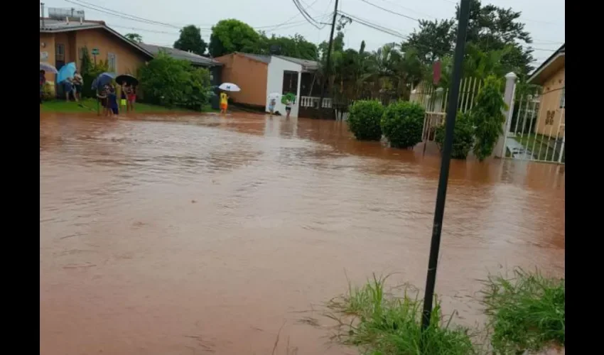 Foto ilustrativa de las áreas afectadas. 