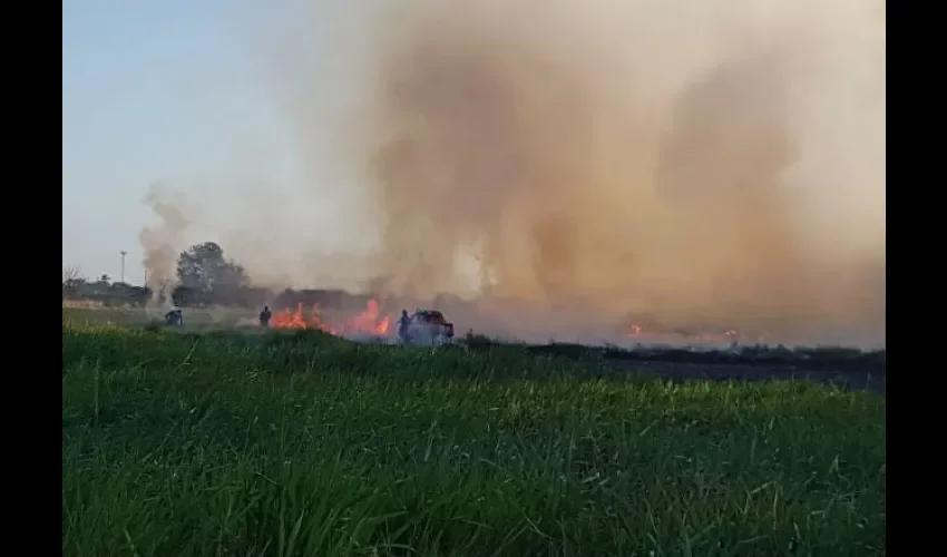 Foto ilustrativa  del área del incendio. 