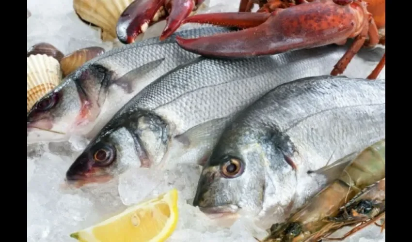 Foto ilustrativa de mariscos. Cortesía. 