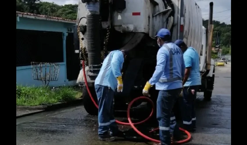 Foto ilustrativa de los trabajos. 