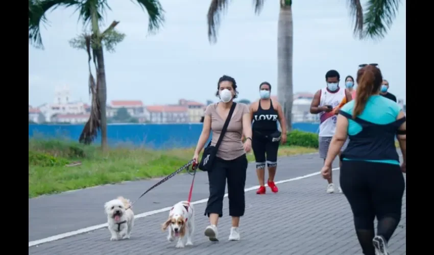 Foto ilustrativa de las caminatas.