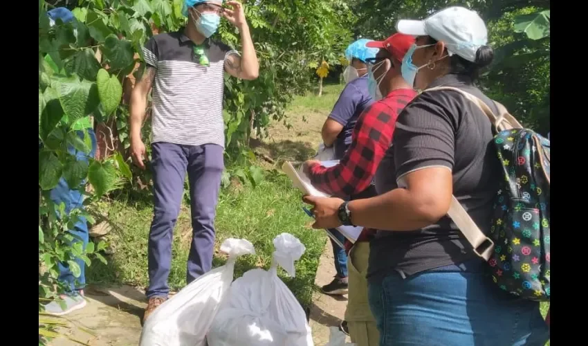 Foto ilustrativa de la inspección. 