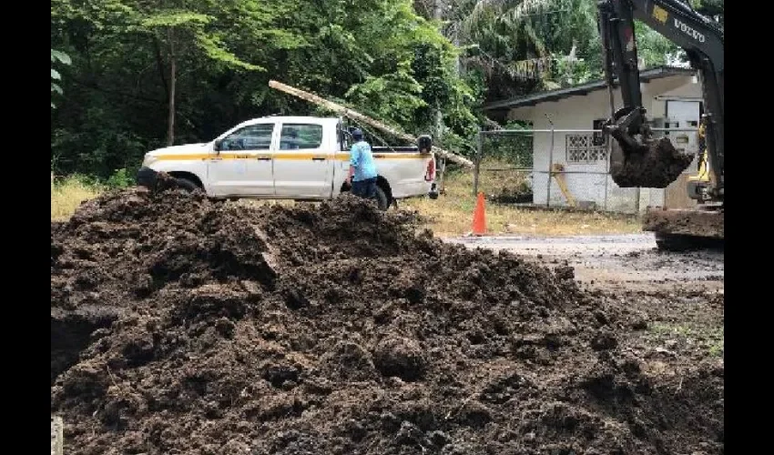 Foto ilustrativa de los trabajos. 