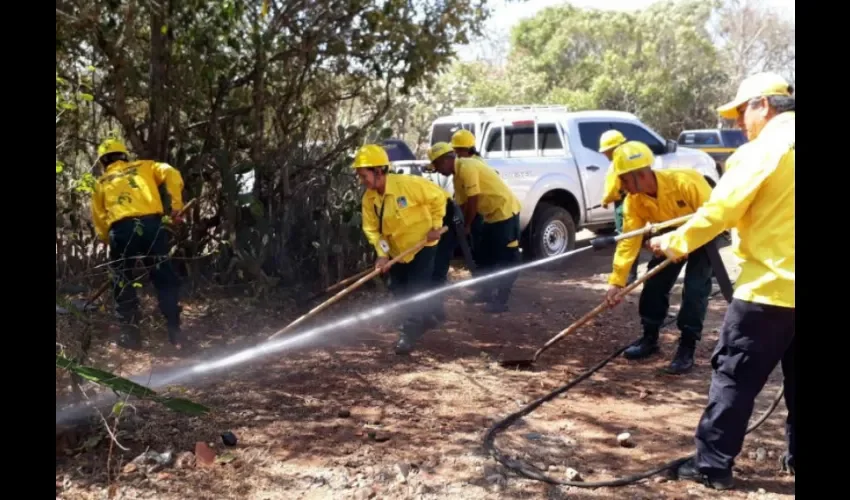  Los sitios de interés ecoturístico han sido preparados para recibir visitantes. 