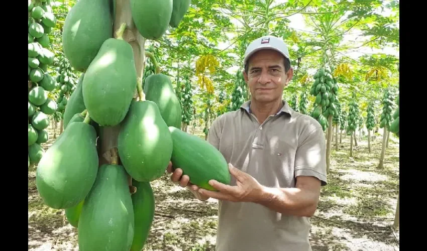 Foto ilustrativa de la producción. 