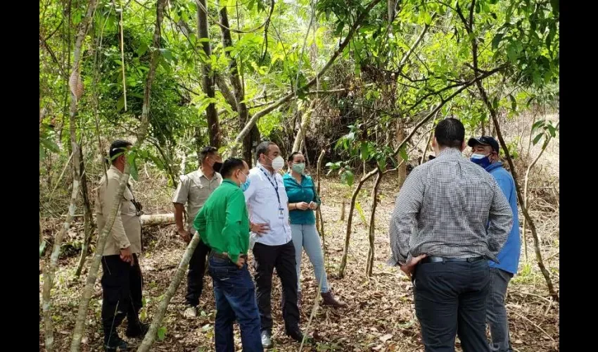 Foto ilustrativa de las viviendas. 