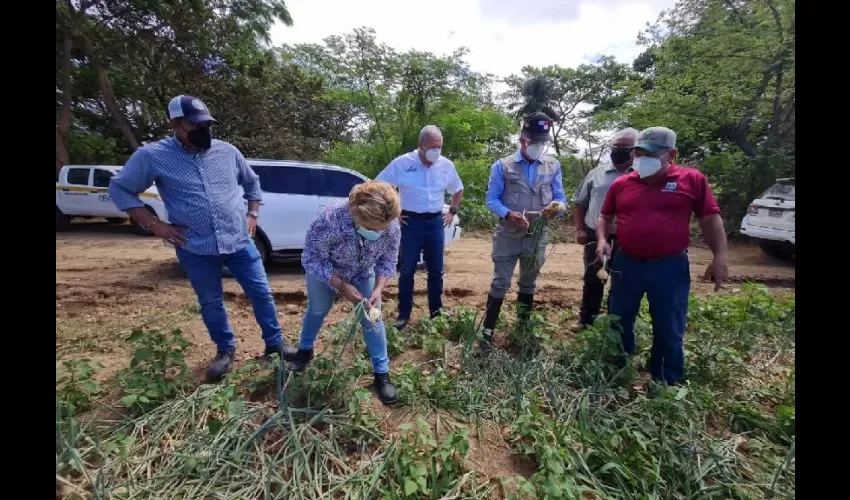 Foto ilustrativa de la inspección. 