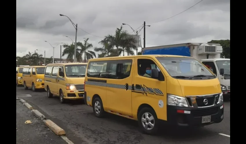 Foto ilustrativa de los busitos. 