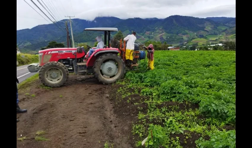 Foto ilustrativa de los productores. 