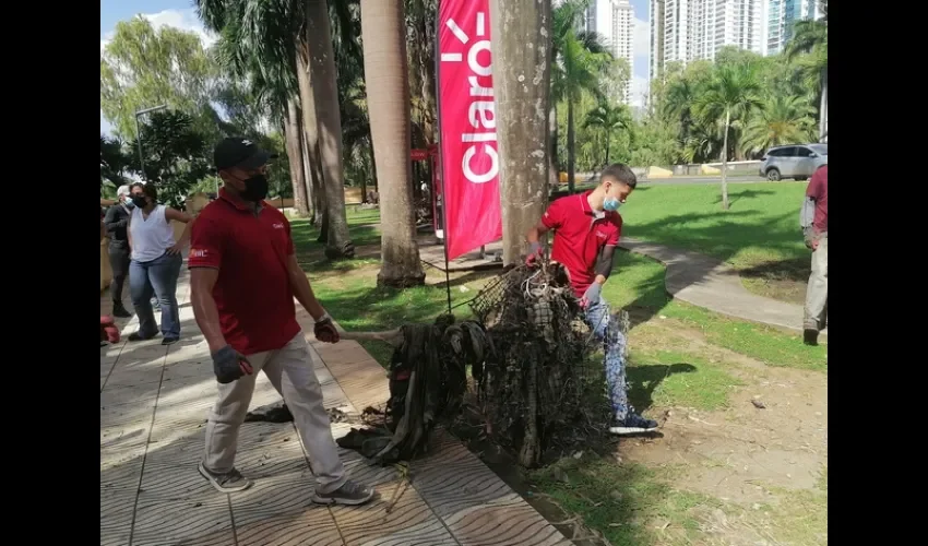 La basura fue llevada a un tanque para su posterior recolección.