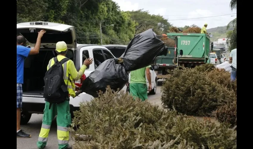  La AAUD hizo llamado a los ciudadanos para que hagan buena disposición de los desechos, tanto en sus residencias como en los espacios y lugares públicos de esparcimiento social y turísticos.