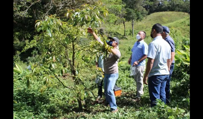 Foto ilustrativa de la producción. 