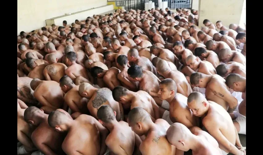 Entre los 5,747 detenidos en estas operaciones "se ha denunciado que algunos han sufrido tratos crueles, inhumanos o degradantes", indicó Throssell.