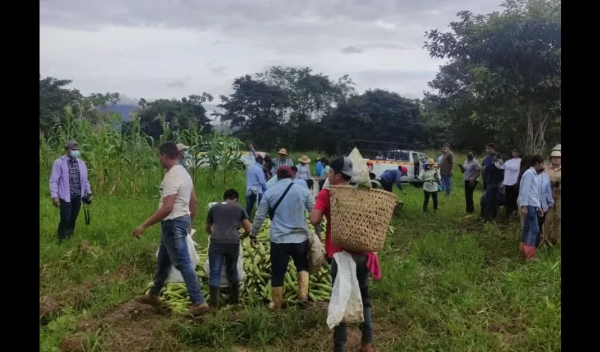 Los jóvenes participantes eran de undécimo y duodécimo año del Bachiller Agropecuario del IPT.