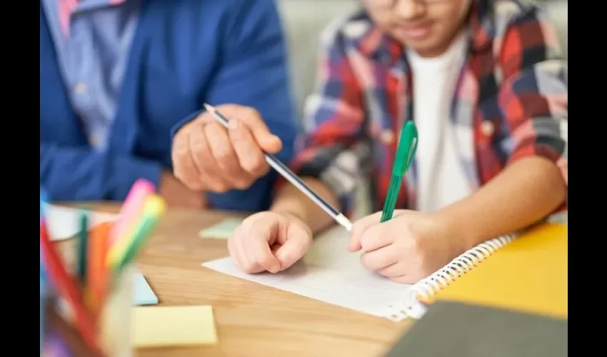 Niño participando de una tutoría. 