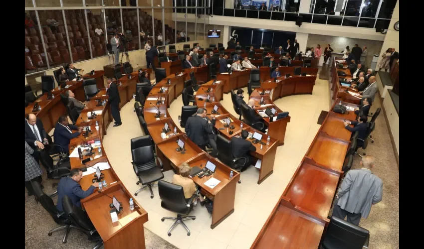 Vista de la Asamblea. 